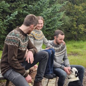 Pattern for a Storð sweater